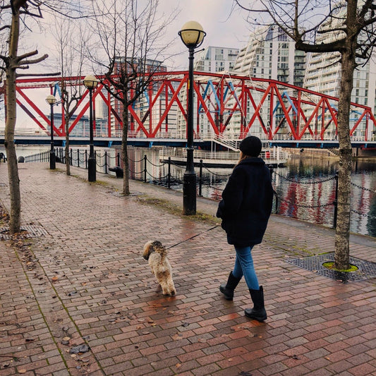 December Round Up... - Wren & Rye