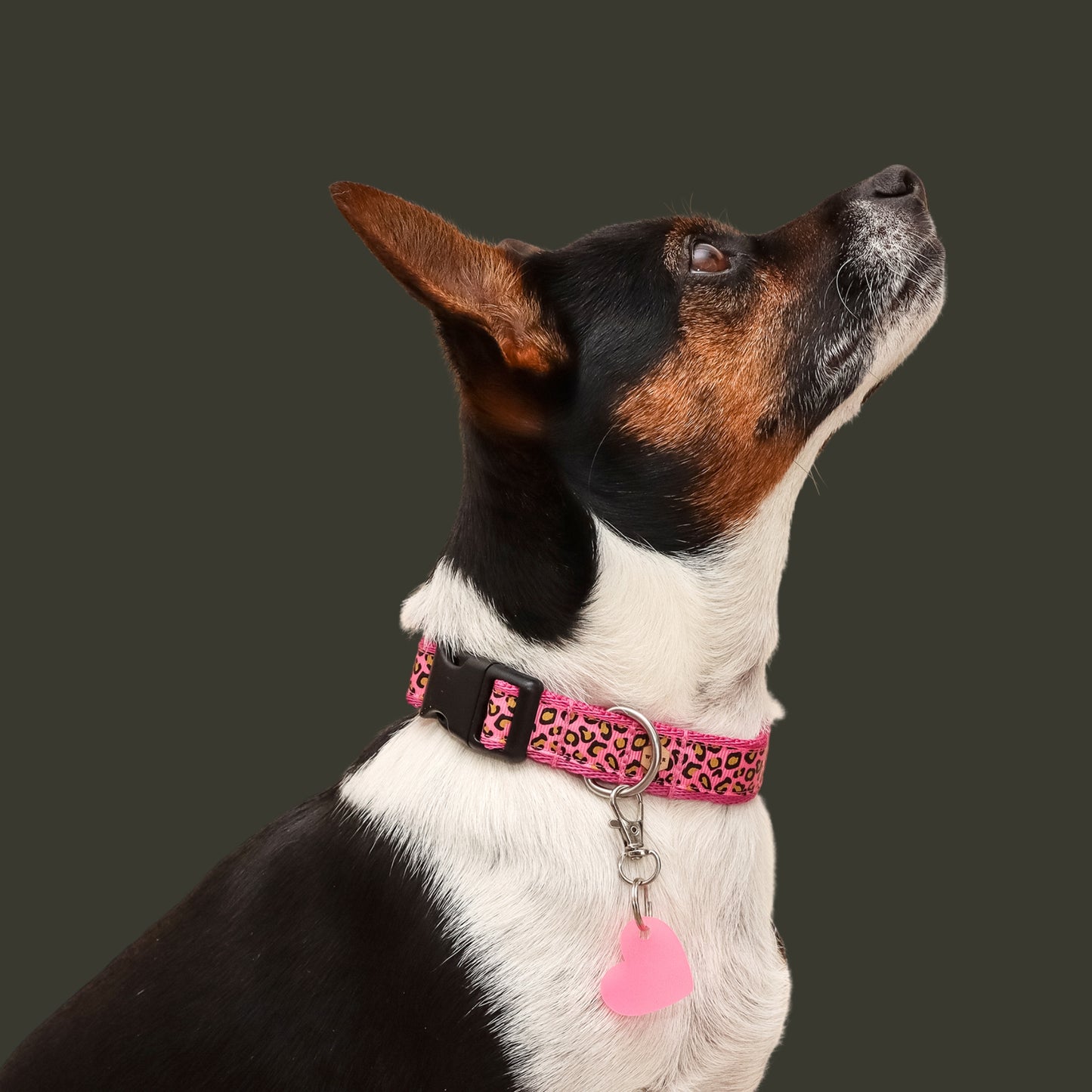 *Glow* in the Dark Pink Heart DinkyDangle