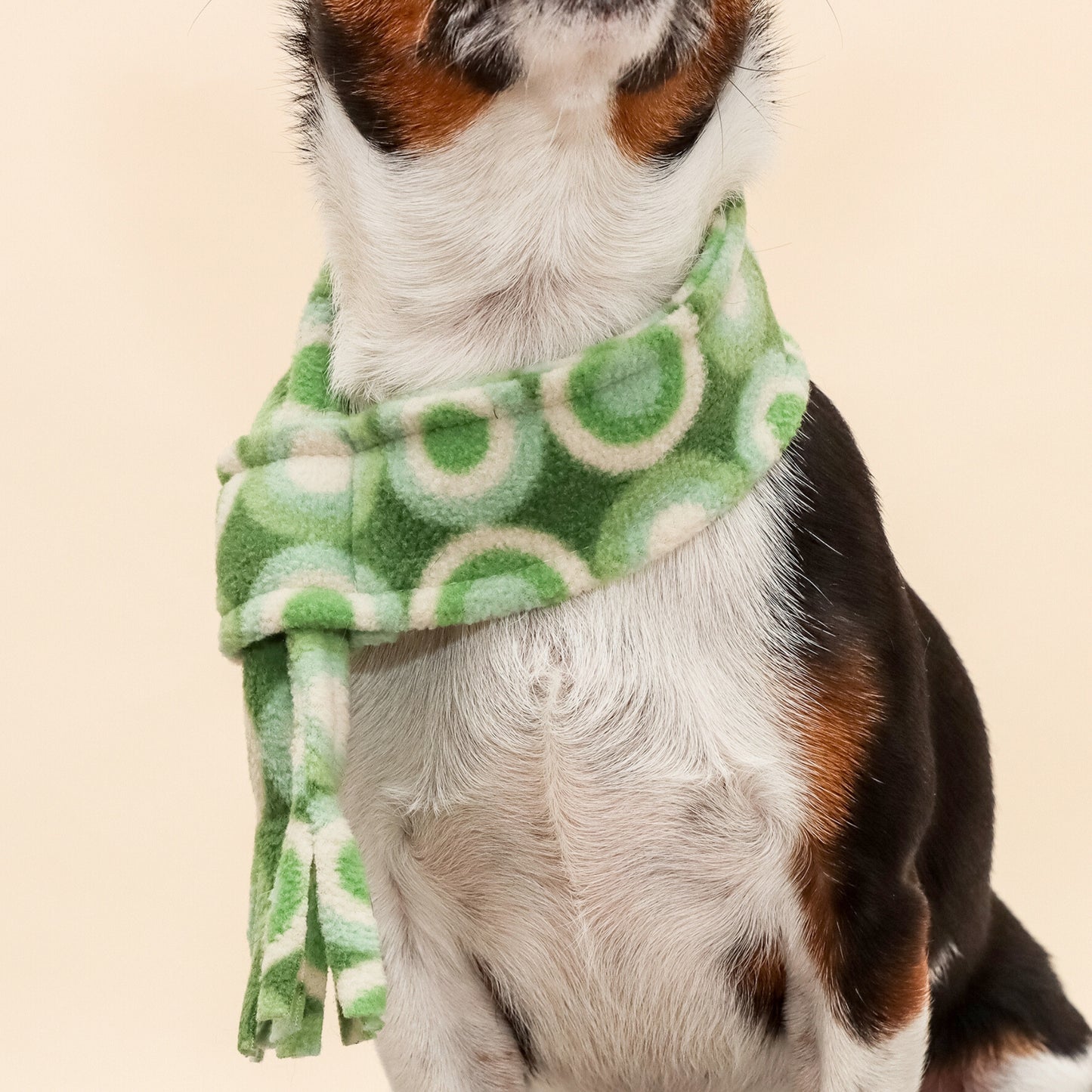 Groovy Green Fleece Pet Scarf