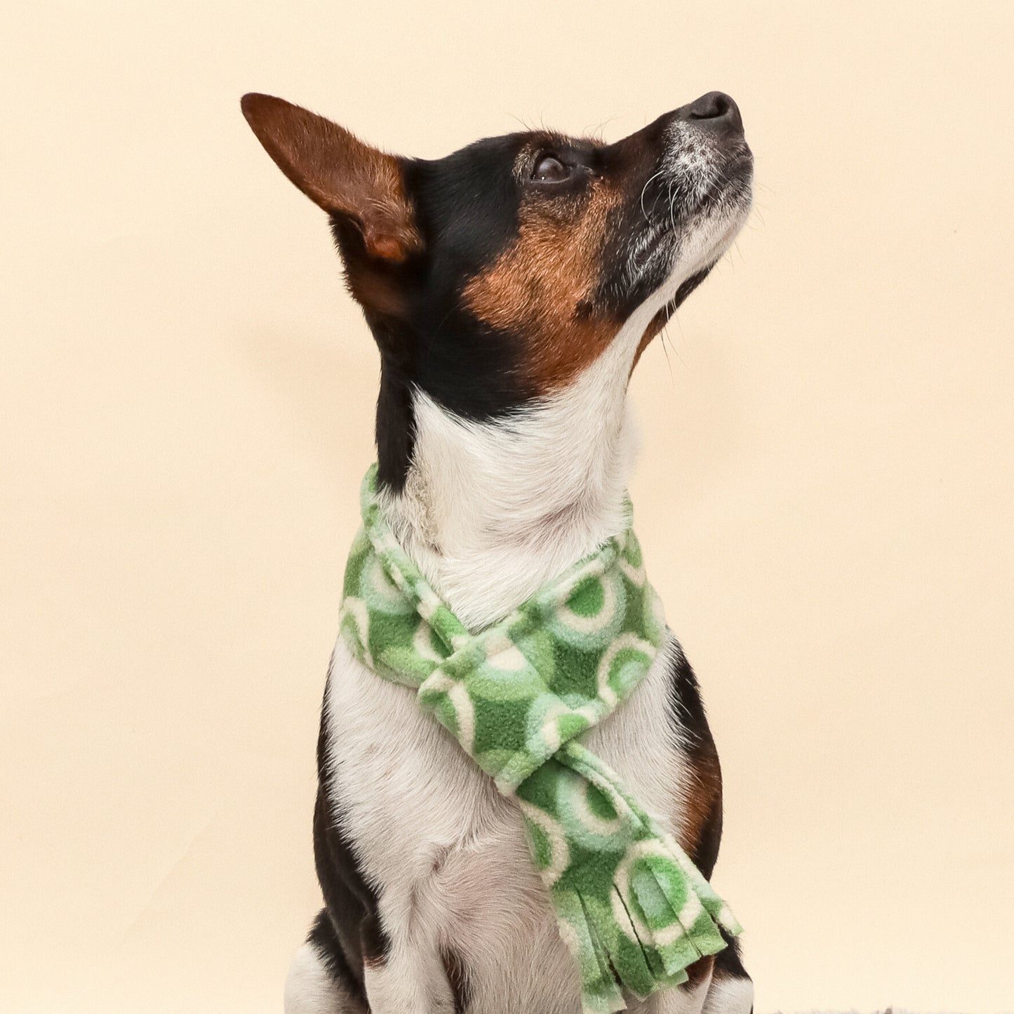 Groovy Green Fleece Pet Scarf
