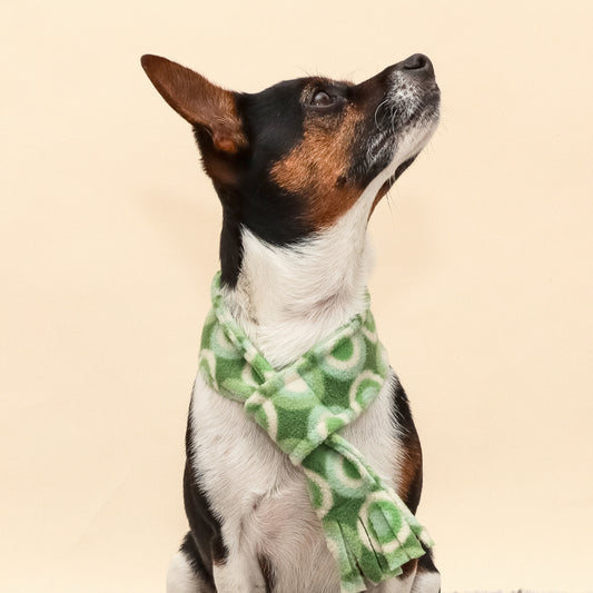 Groovy Green Fleece Pet Scarf