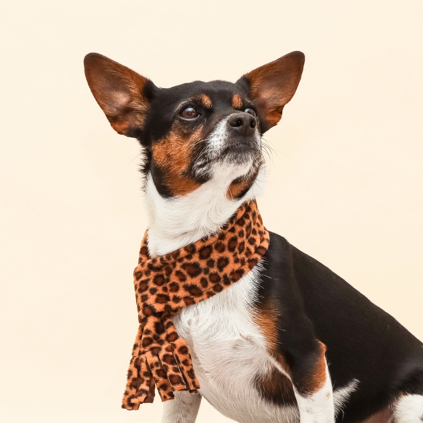 Tawny Brown Leopard Fleece Pet Scarf