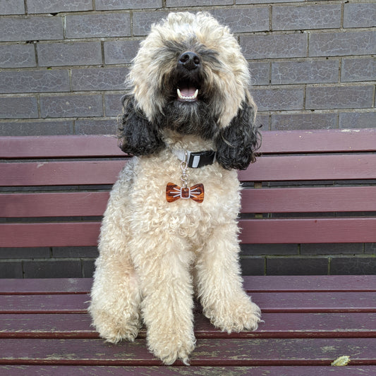 Wren & Rye Fall Marble BowDangle