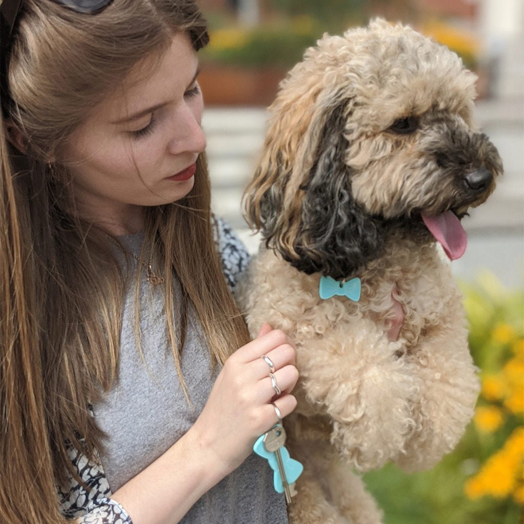 Wren & Rye Aqua Splash Pooch & Pooch Parent BowDangle Set