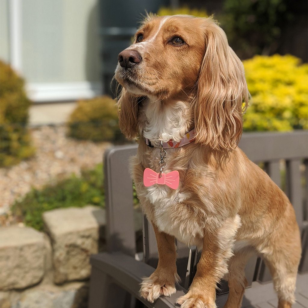 Wren & Rye Coral Blossom BowDangle