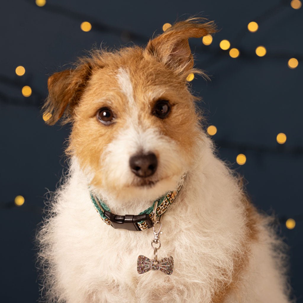 Wren & Rye Disco Mini BowDangle
