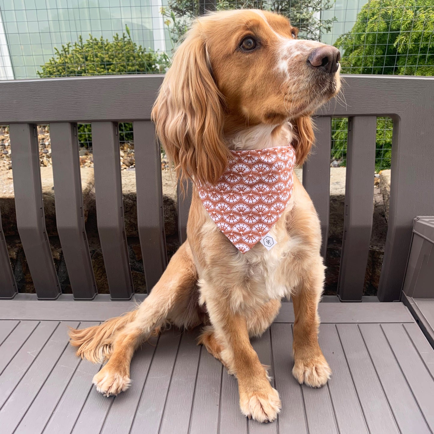 Wren & Rye Flock & Flower Reversible Bandana