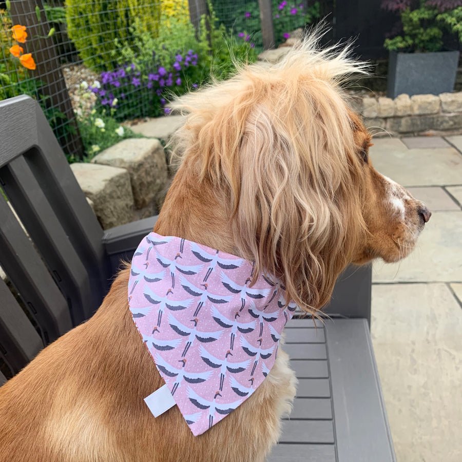 Wren & Rye Flock & Flower Reversible Bandana