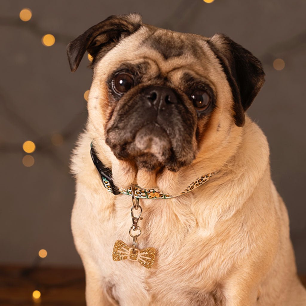 Wren & Rye Gold Glitter Mini BowDangle