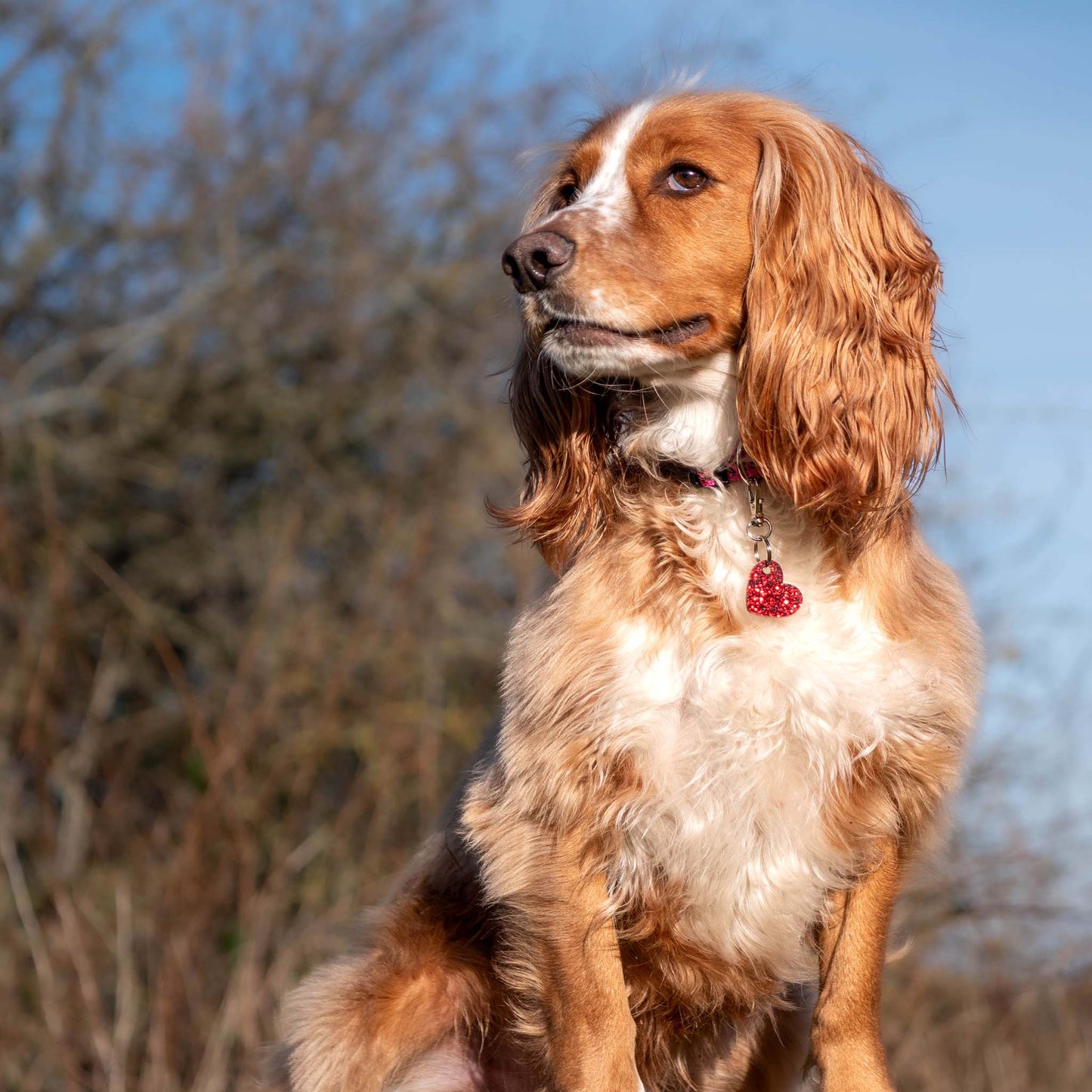 Wren & Rye Red Heart Pooch & Pooch Parent DinkyDangle Set