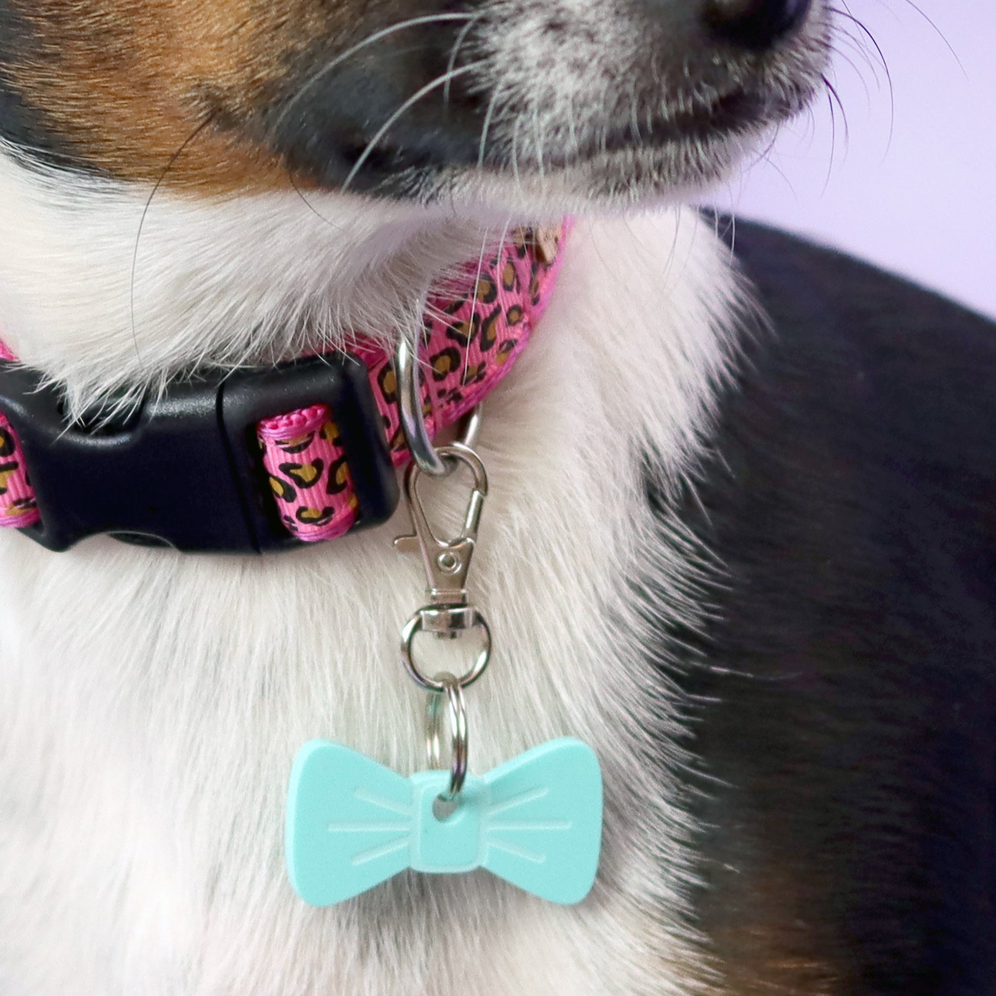 Wren & Rye Aqua Splash Mini BowDangle