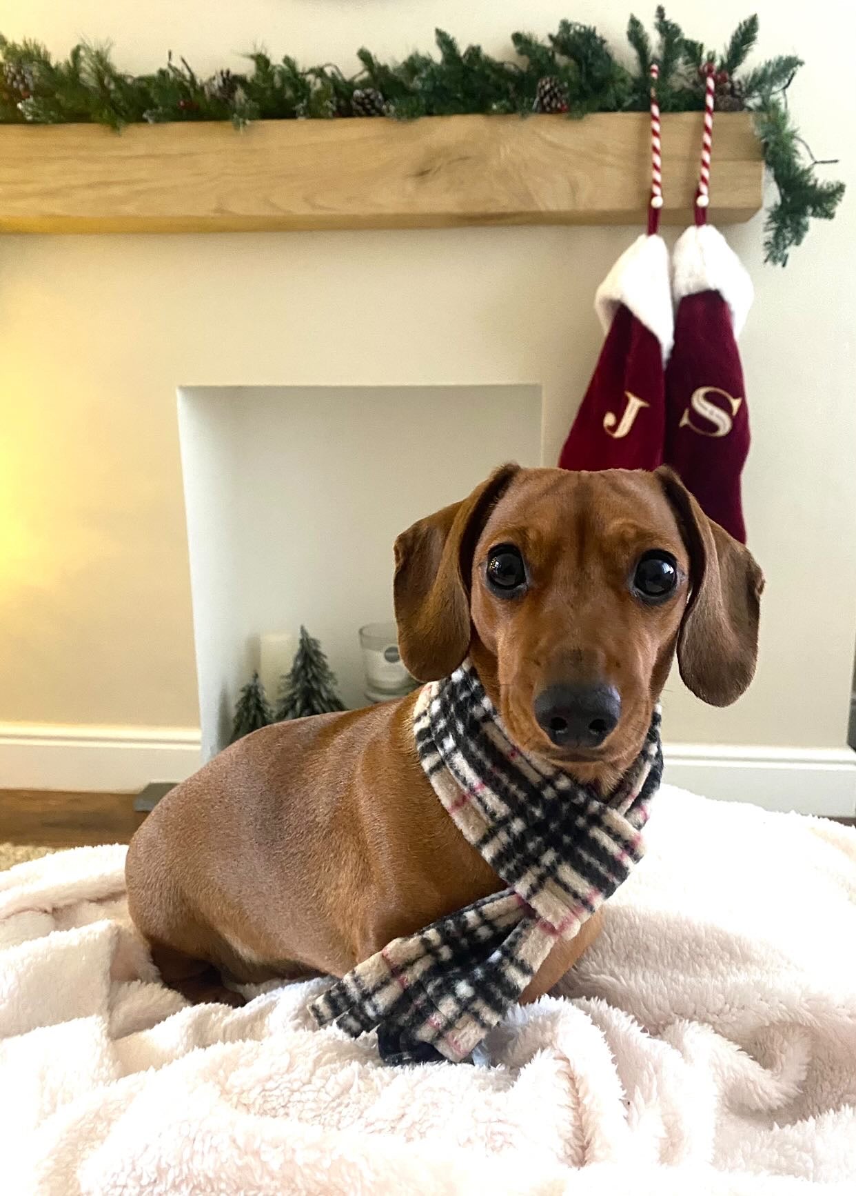 Wren & Rye Beige Highland Tartan Fleece Pet Scarf