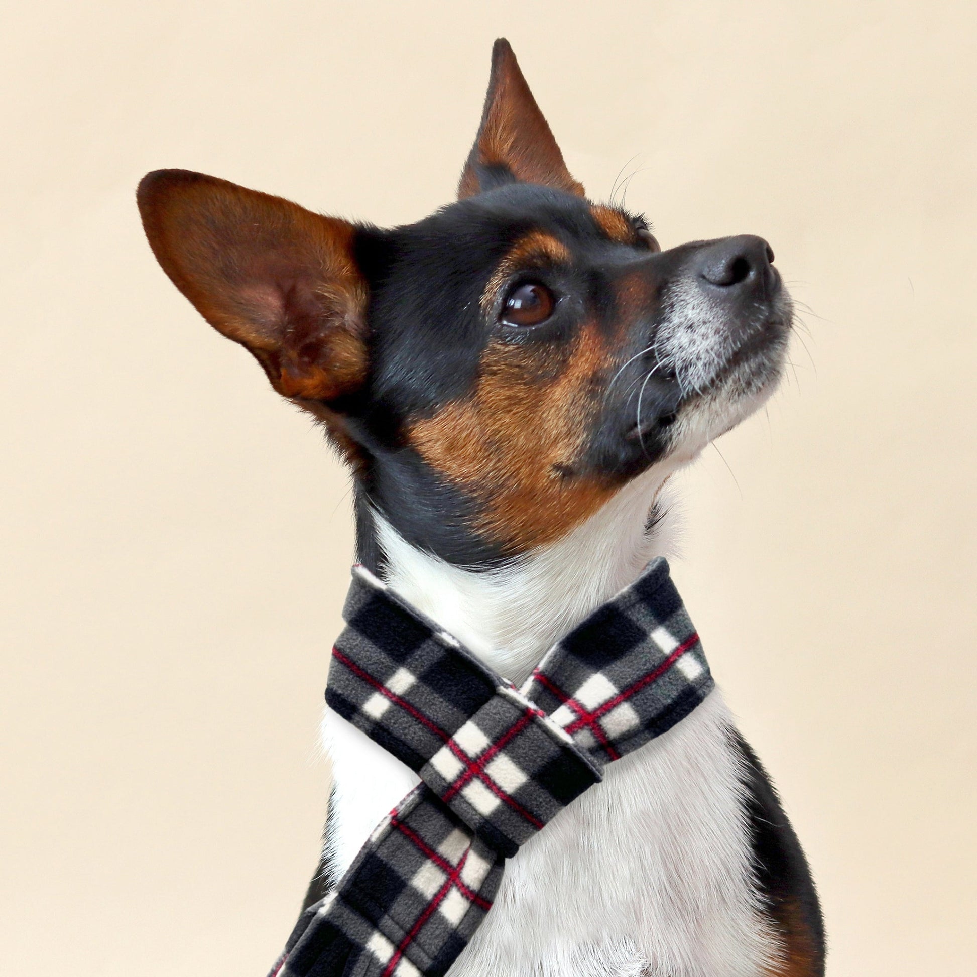 Wren & Rye Black & White Highland Tartan Fleece Pet Scarf