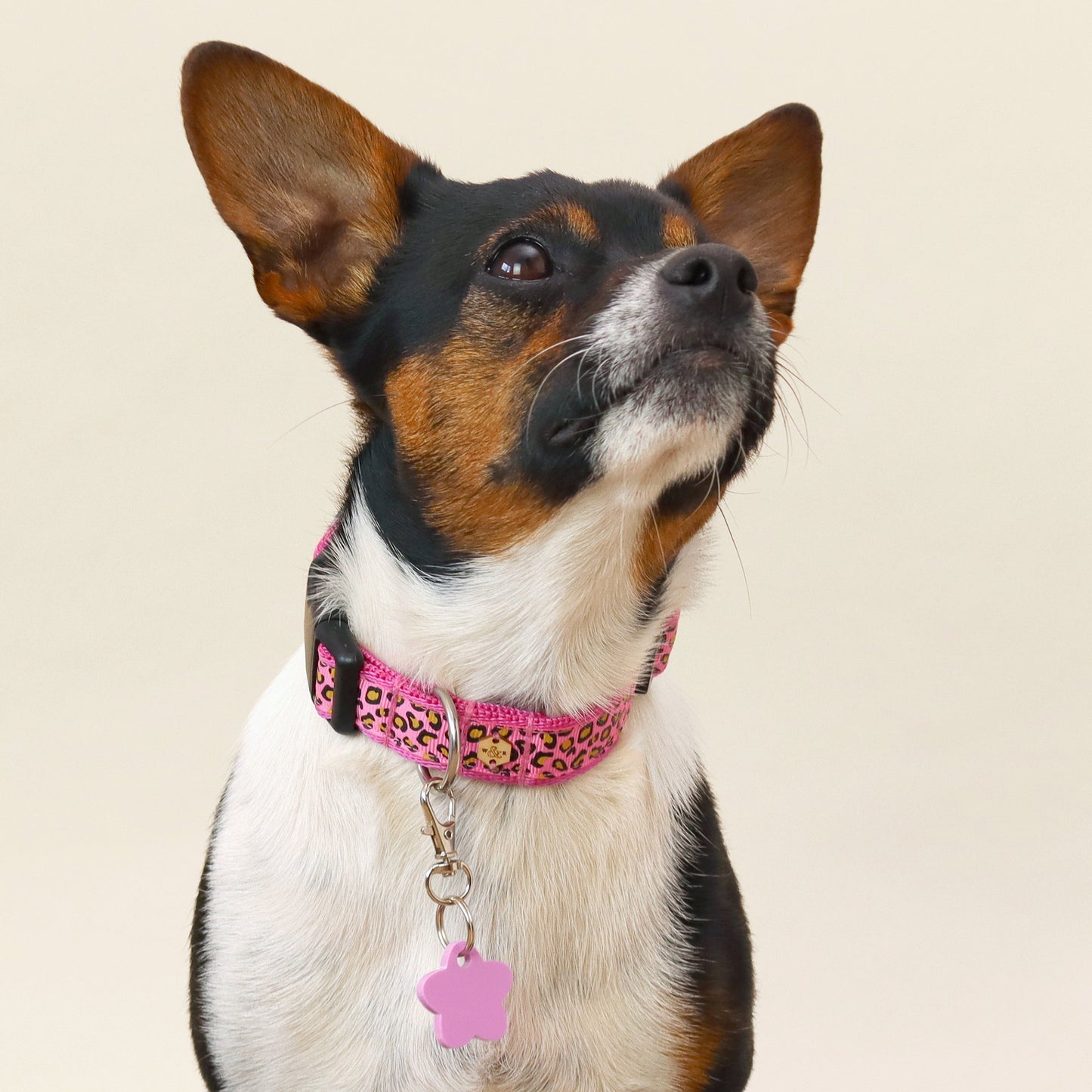 Wren & Rye Bubblegum Flower DinkyDangle