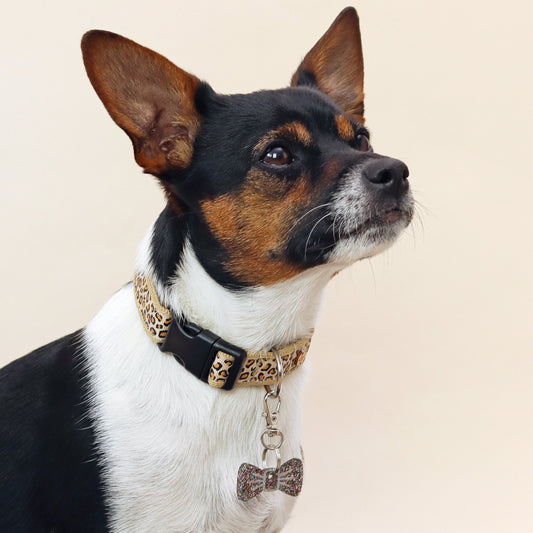 Wren & Rye Caramel Latte Leopard Print Dog Collar