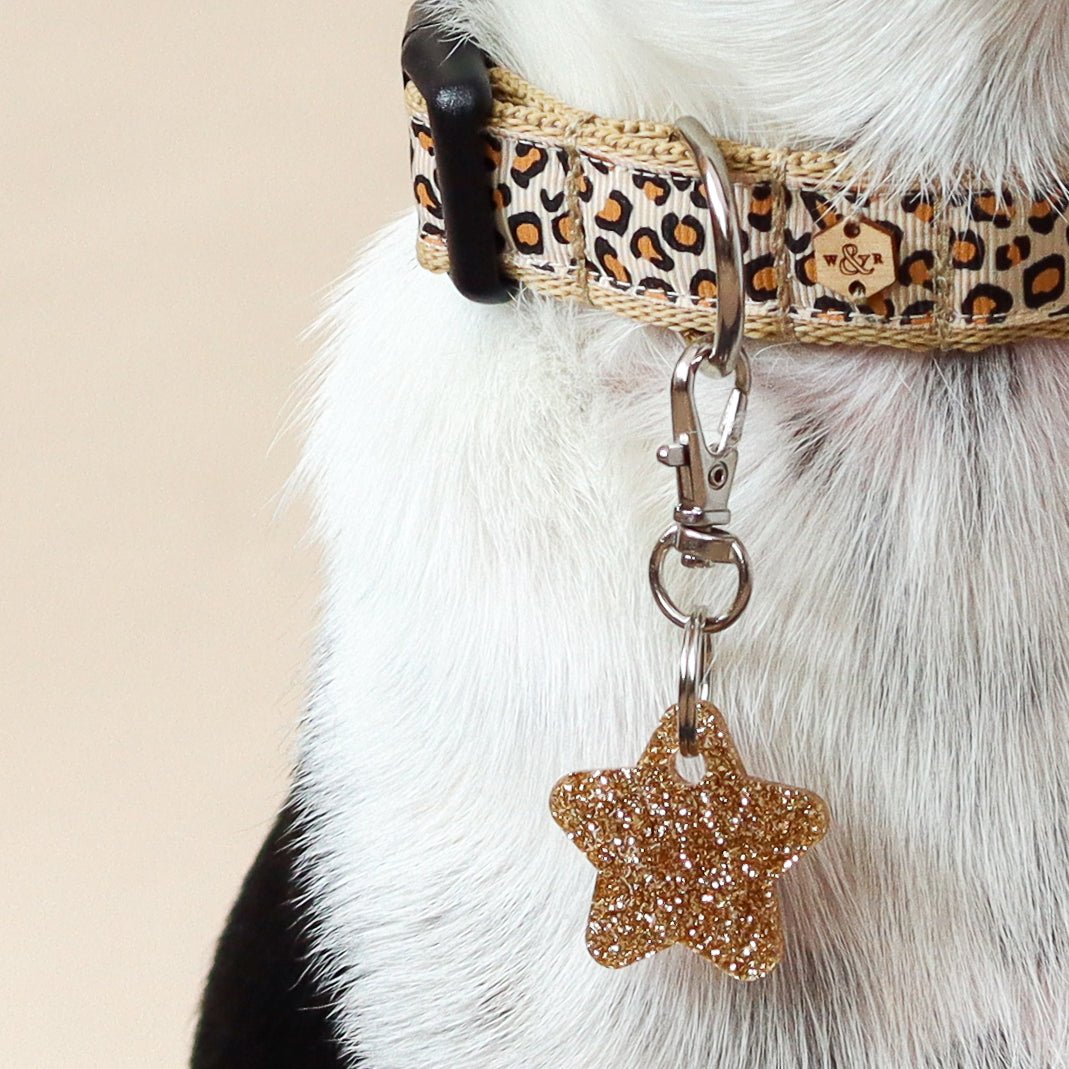 Wren & Rye Caramel Latte Leopard Print Dog Collar