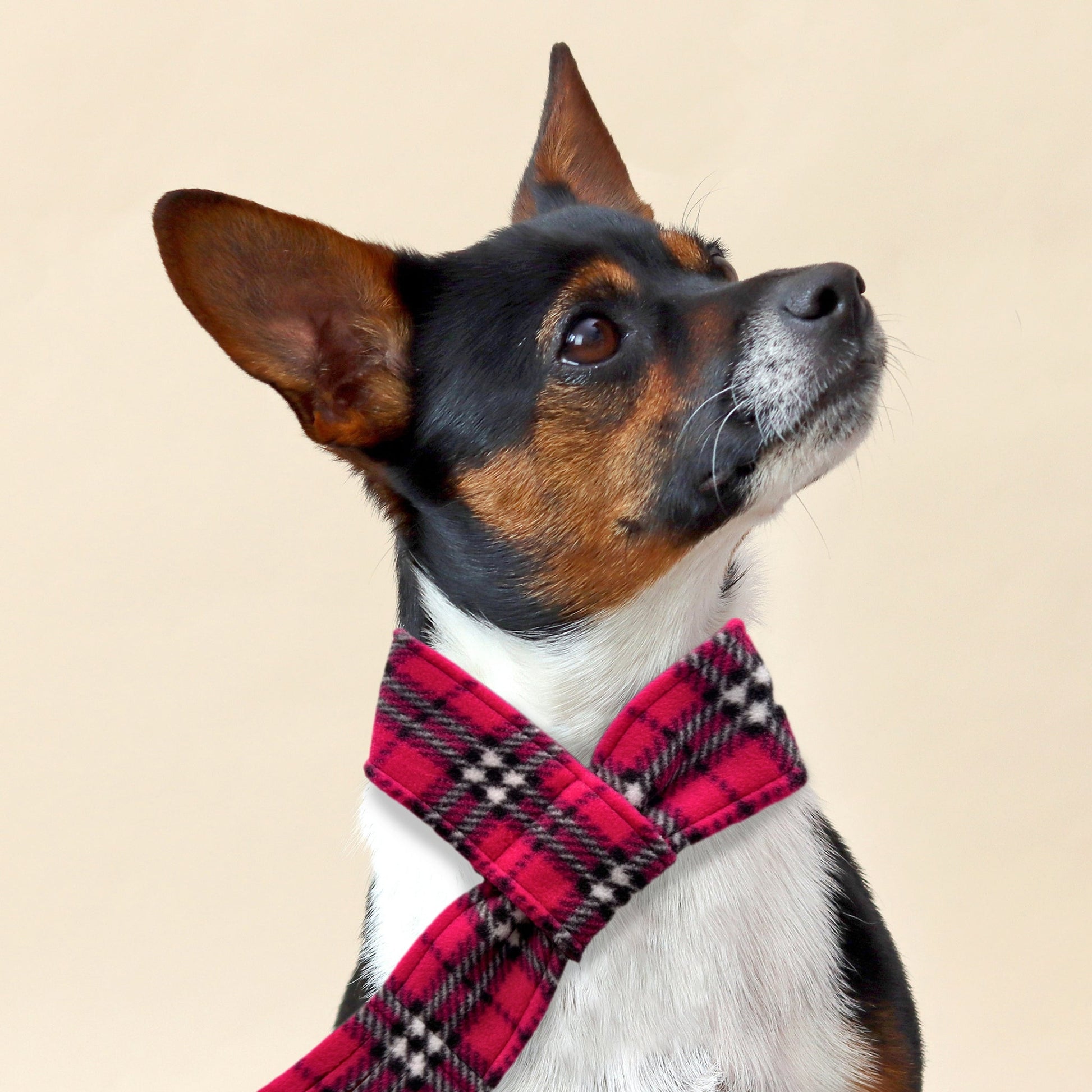 Wren & Rye Cerise Pink Highland Tartan Fleece Pet Scarf