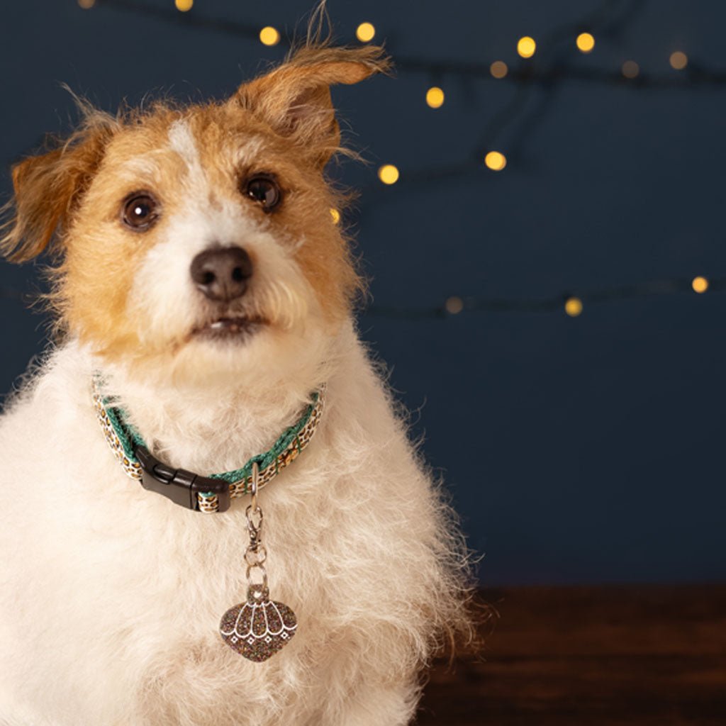 Wren & Rye Disco Opulent Pawble BowDangle