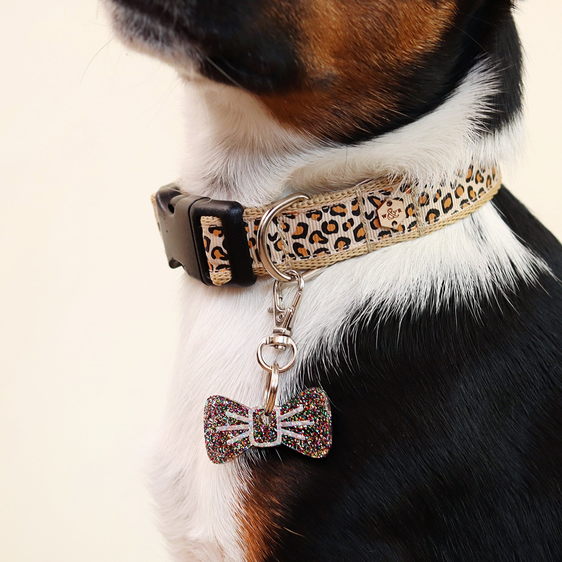Wren & Rye Disco Rainbow Pooch & Pooch Parent BowDangle Set