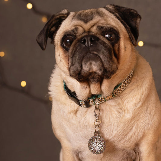 Wren & Rye Disco Retro Pawble BowDangle