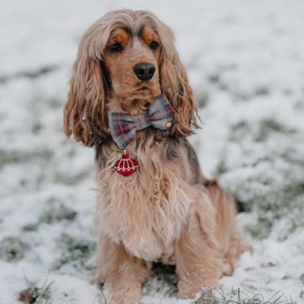 Wren & Rye Festive Grey Tartan Dog Bow Tie