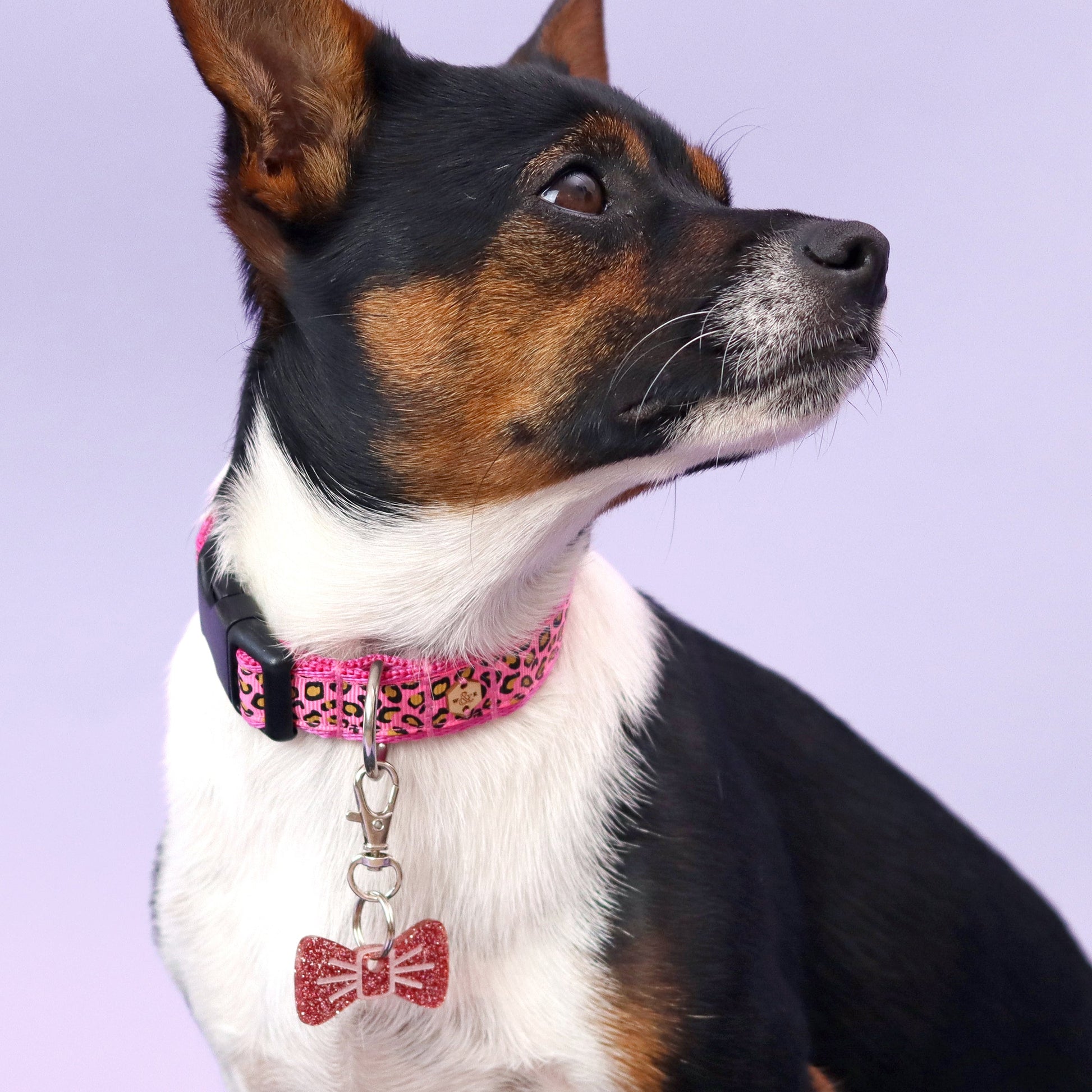Wren & Rye Flamingo Glitter Mini BowDangle