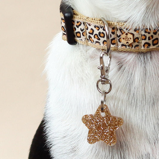 Wren & Rye Gold Star DinkyDangle