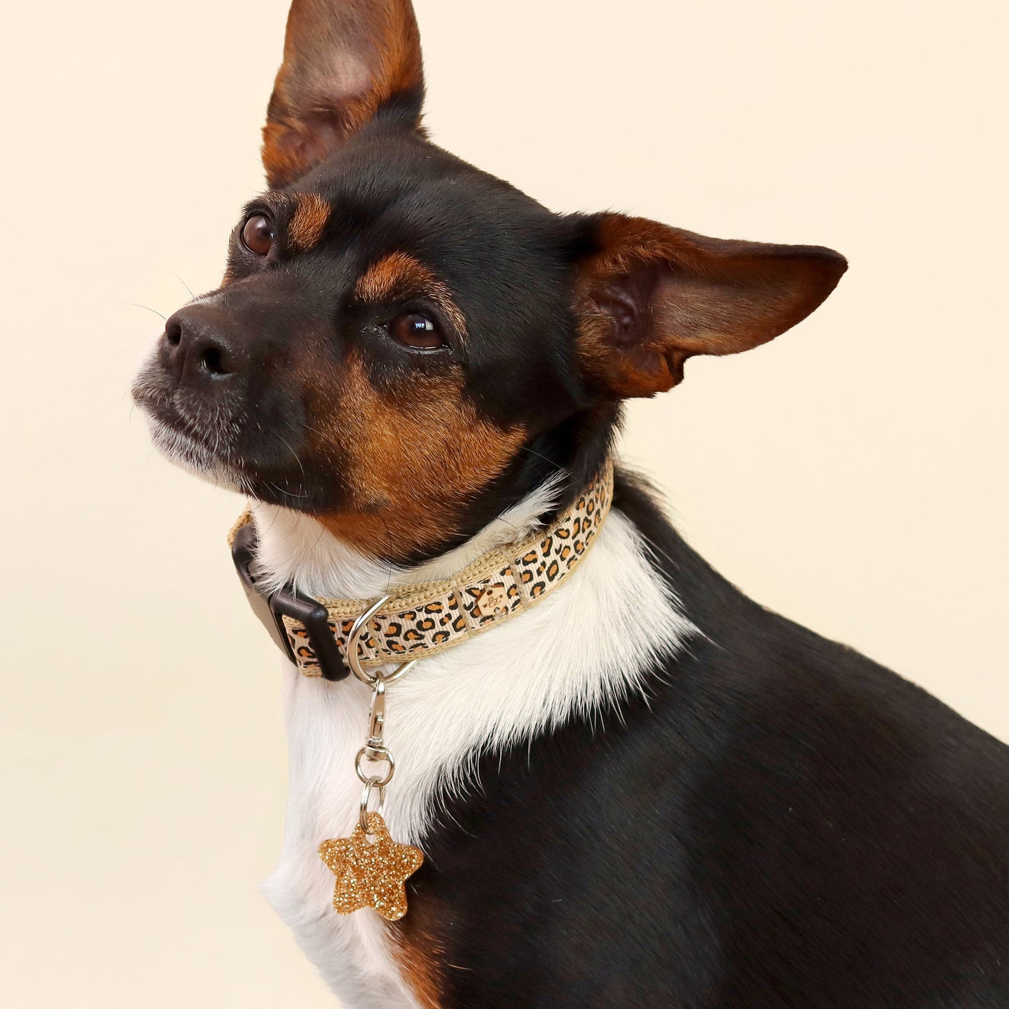 Wren & Rye Gold Star DinkyDangle