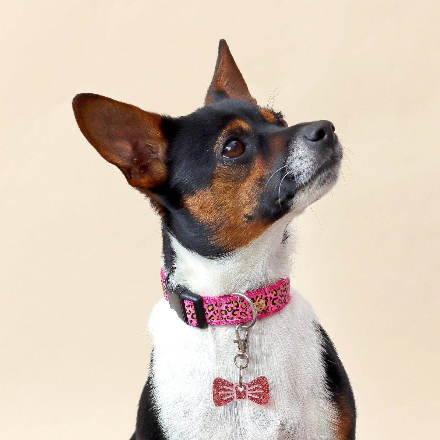 Wren & Rye Hot Pink Leopard Print Dog Collar