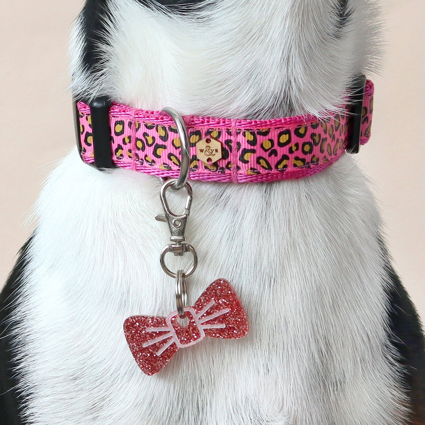 Wren & Rye Hot Pink Leopard Print Dog Collar