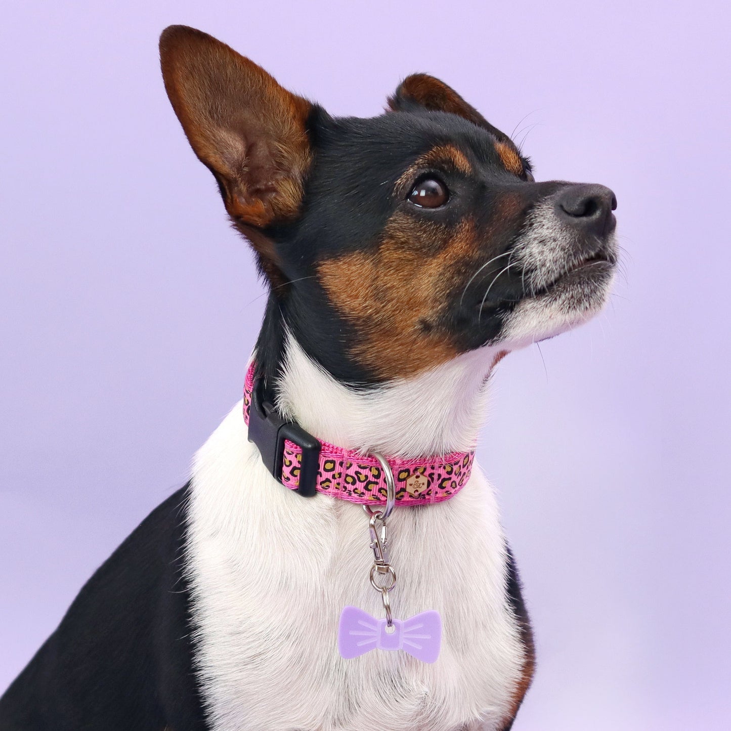 Wren & Rye Lovely Lilac Mini BowDangle