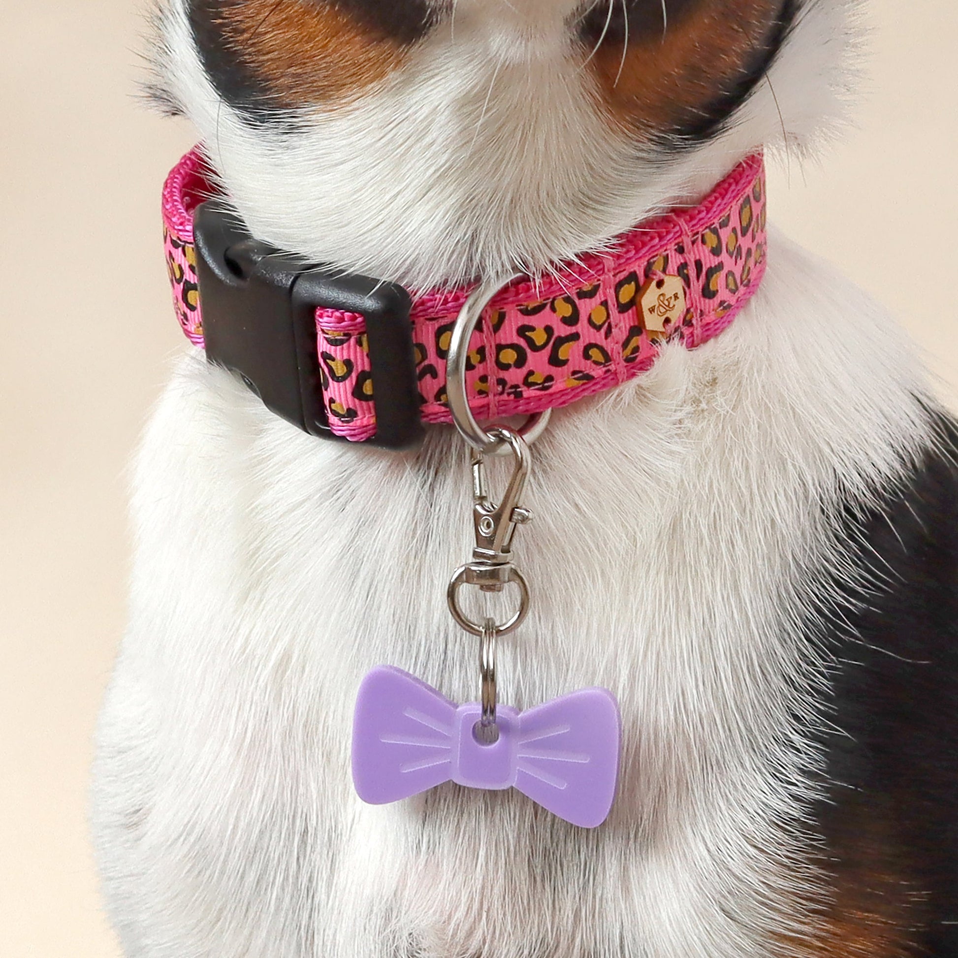 Wren & Rye Lovely Lilac Mini BowDangle