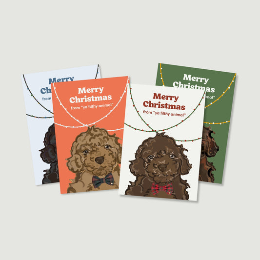 Wren & Rye Merry Christmas (Ya Filthy Animal) Card Pack