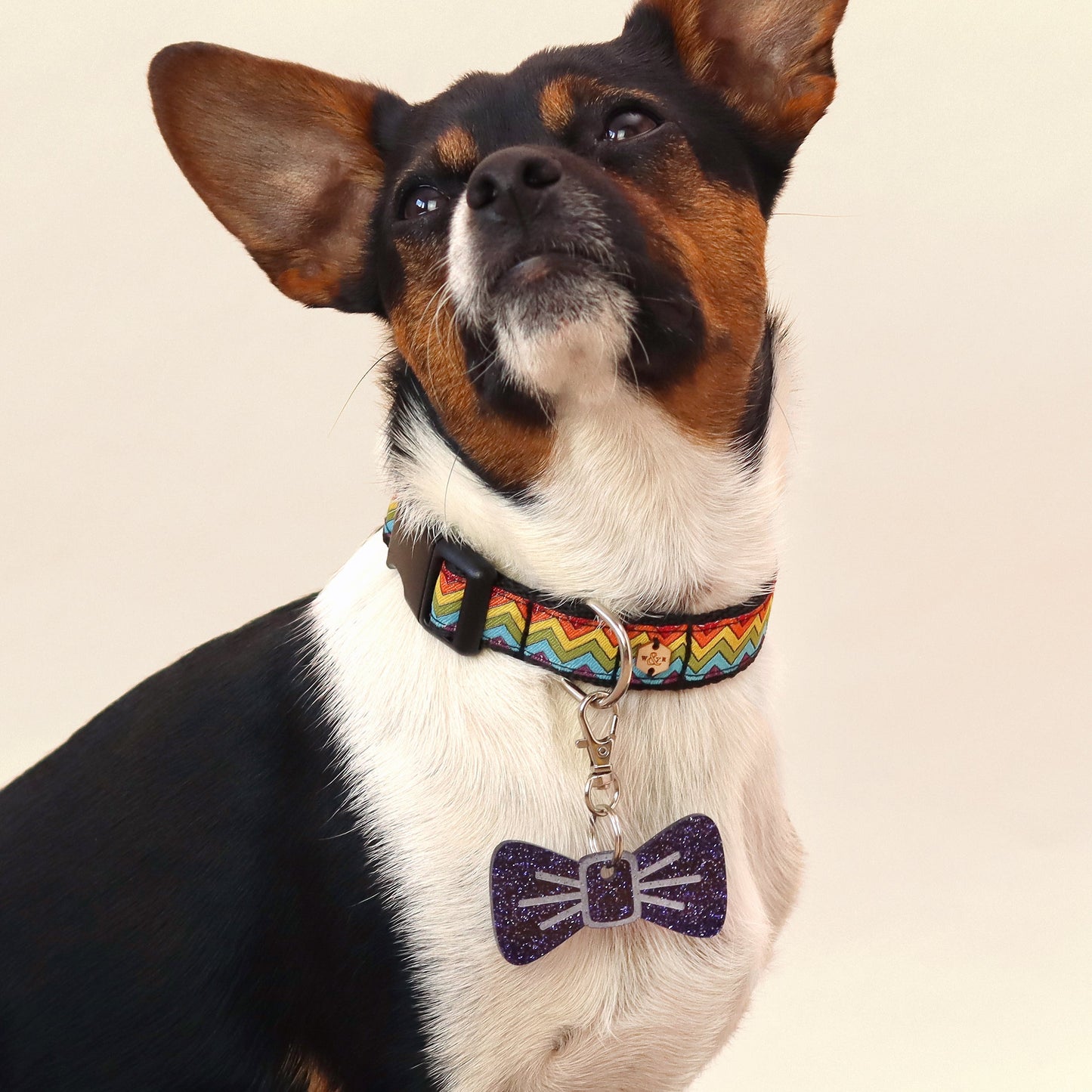 Wren & Rye Midnight Twinkle BowDangle