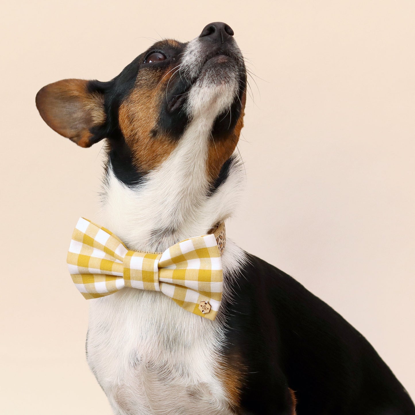 Wren & Rye Mustard Yellow Gingham Dog Bow Tie