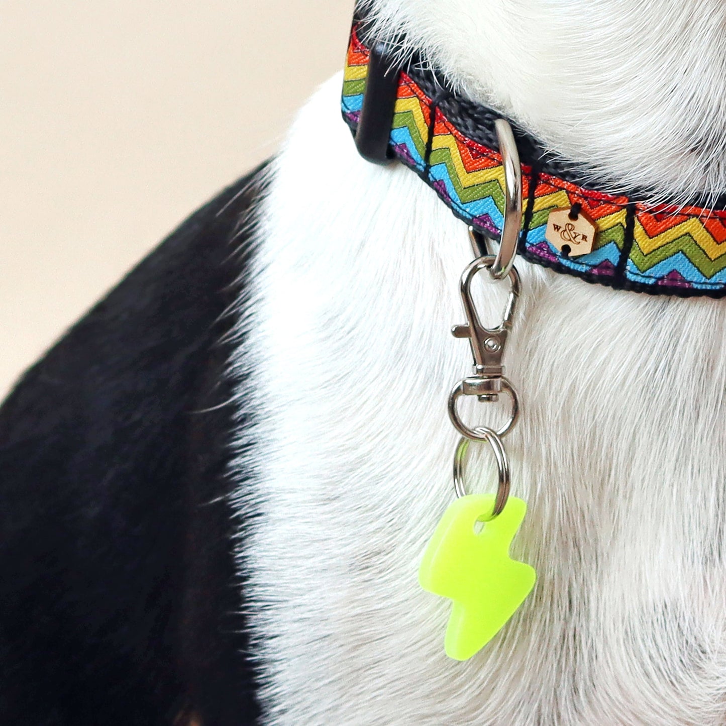 Wren & Rye Neon Bolt Pooch & Pooch Parent DinkyDangle Set