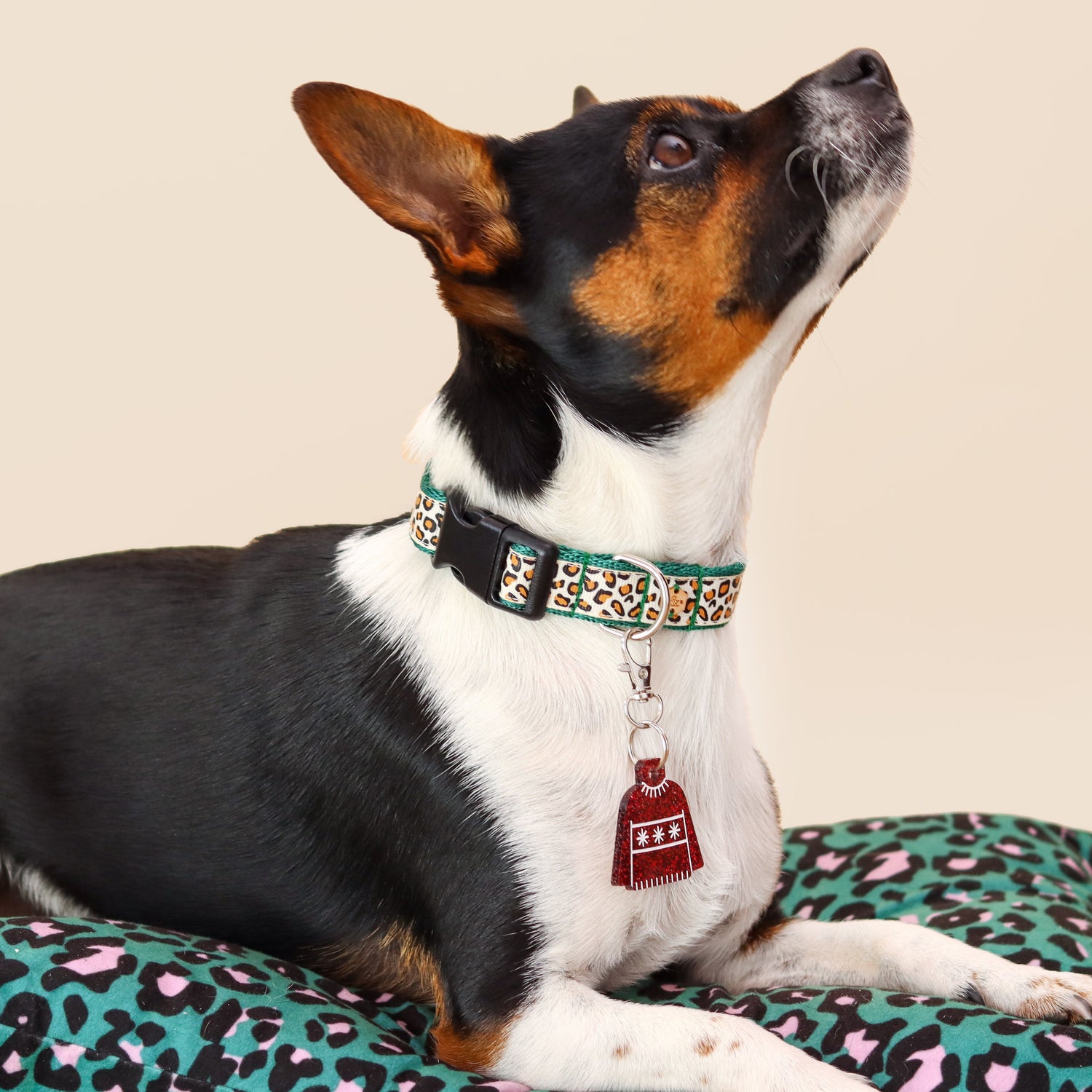 Wren & Rye Red Jumper Gift Set - Dog Mum