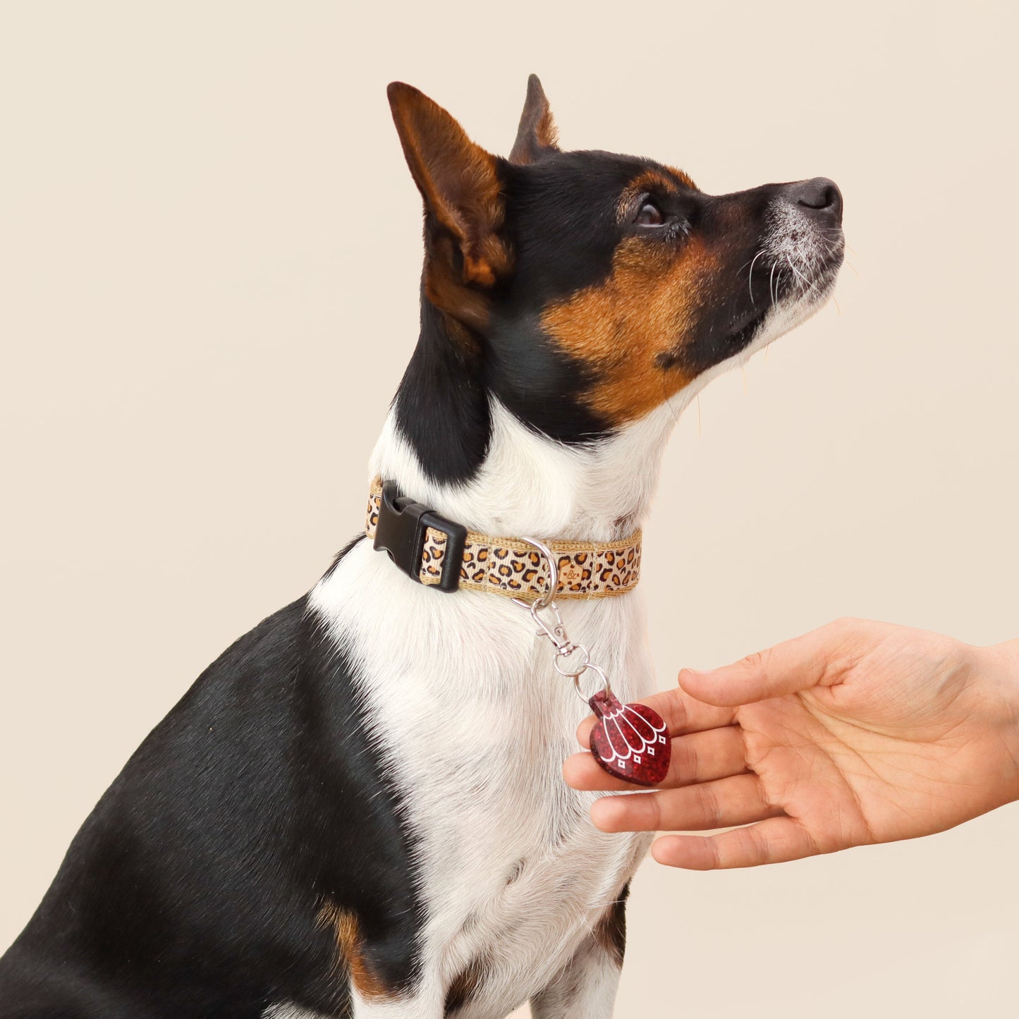 Wren & Rye Red Opulent Pawble BowDangle