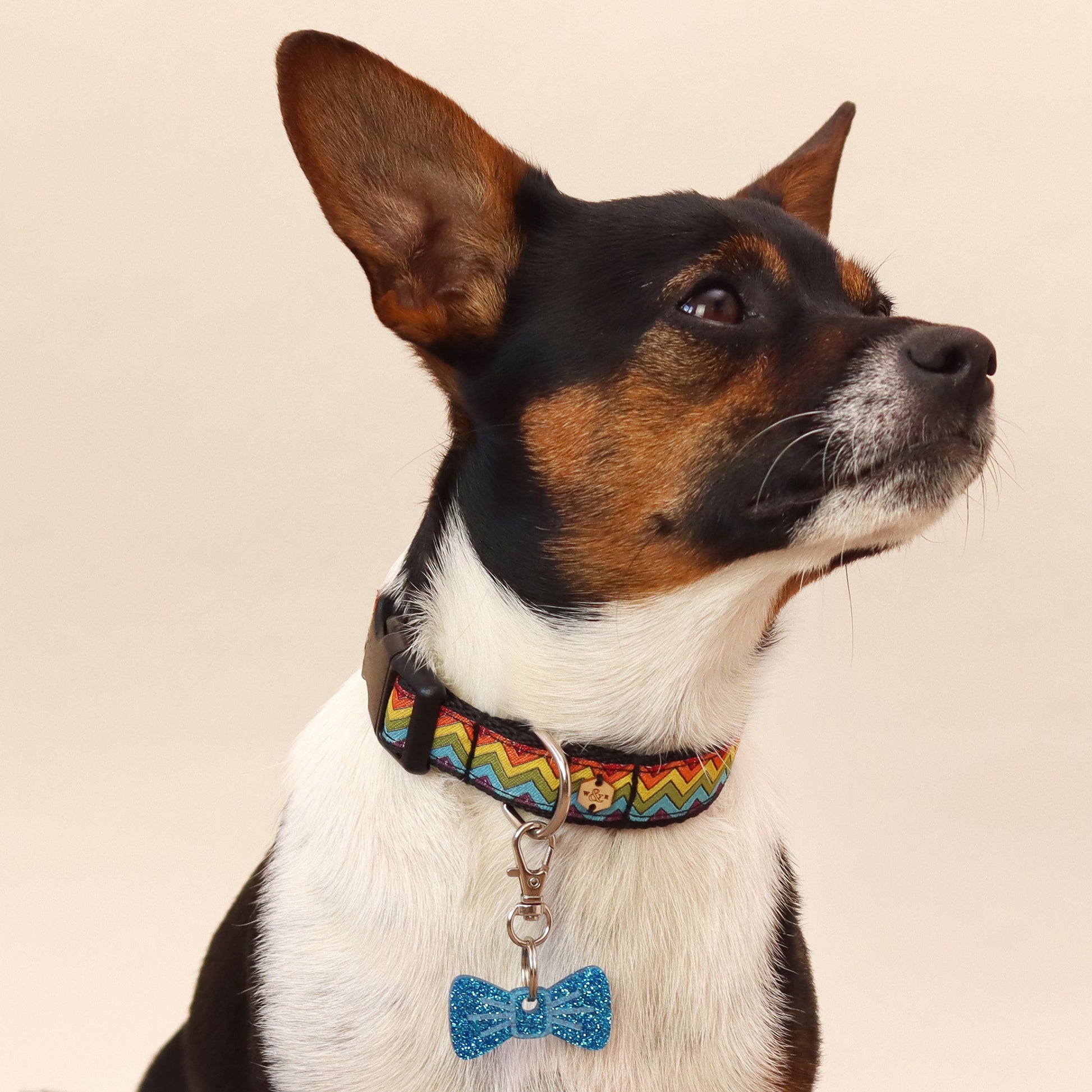 Wren & Rye Sapphire Glitter Mini BowDangle