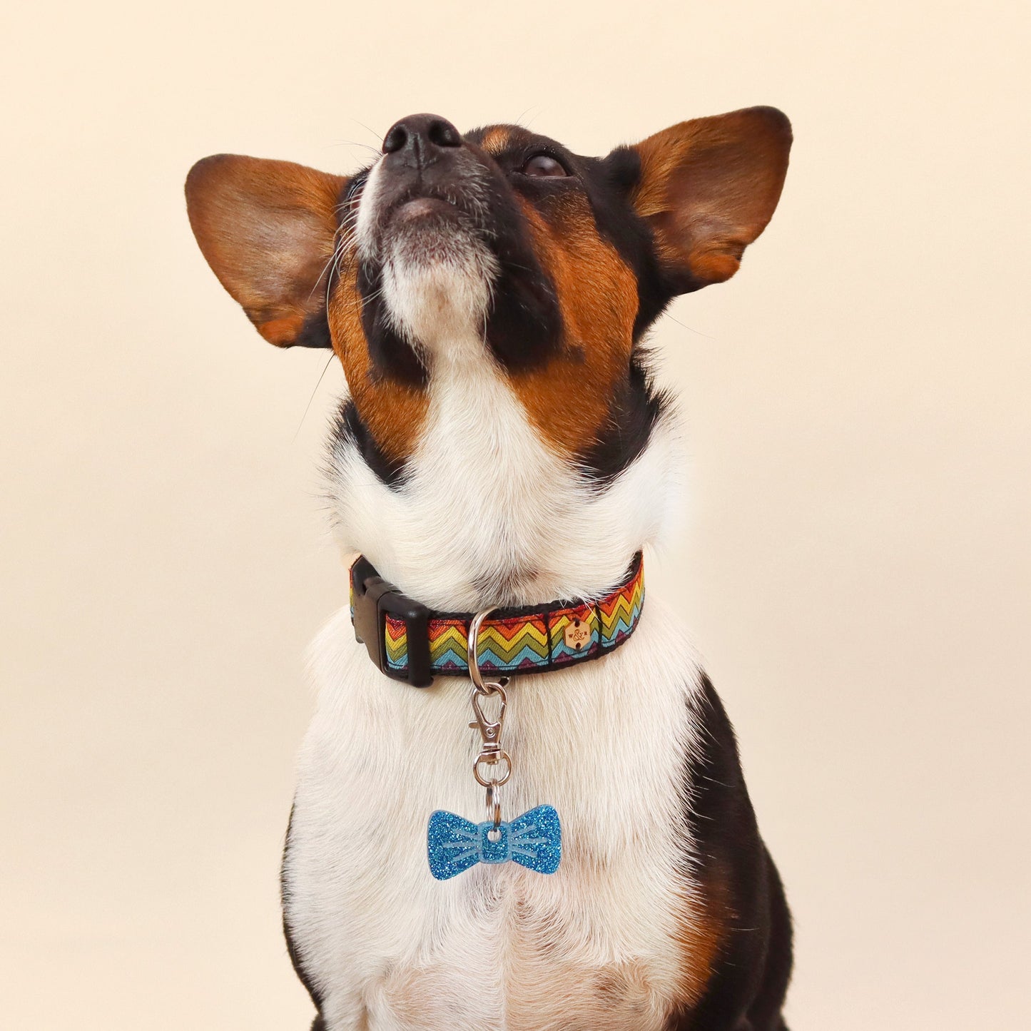 Wren & Rye Sapphire Glitter Pooch & Pooch Parent BowDangle Set