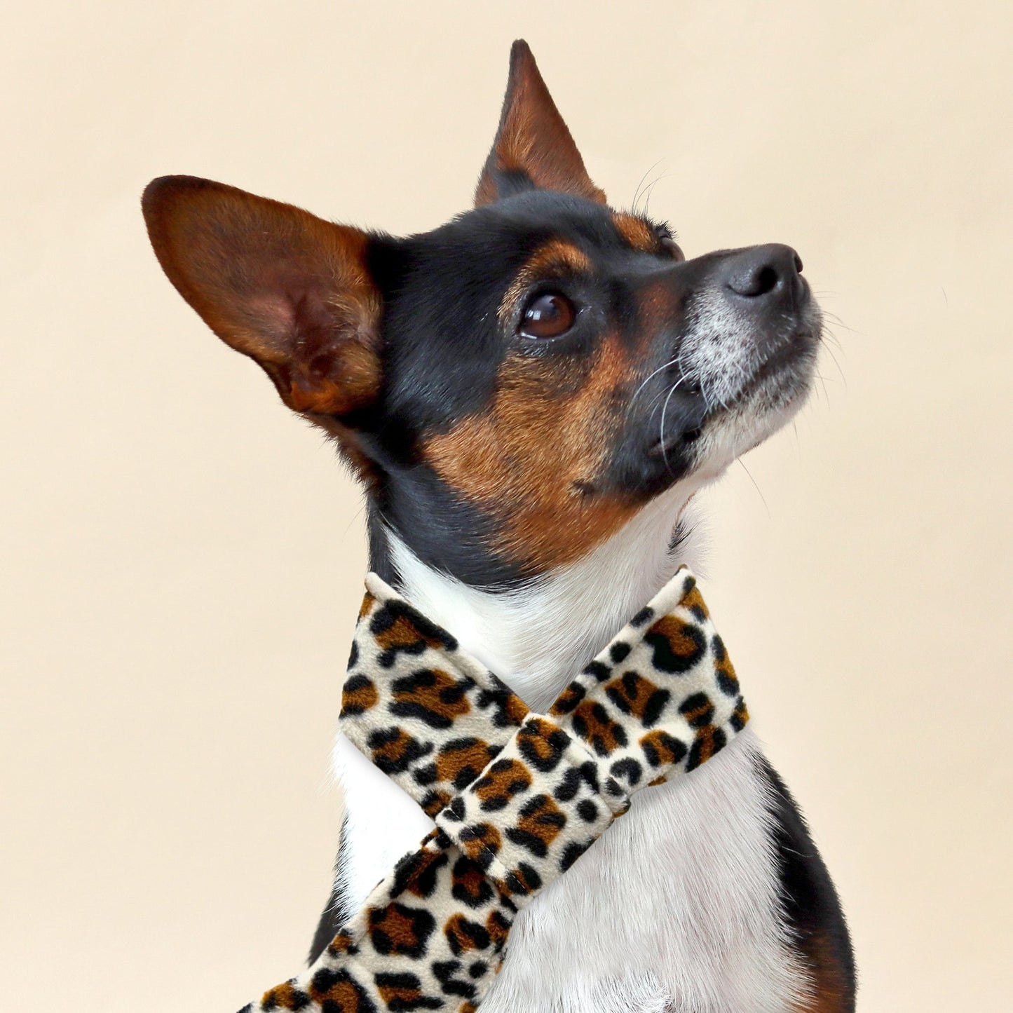 Wren & Rye Snow Leopard Fleece Pet Scarf