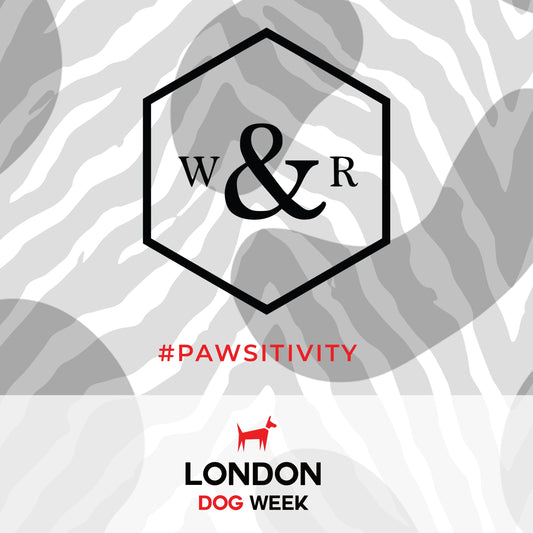 Virtual London Dog Week #pawsitivity - Wren & Rye