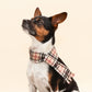 Beige Highland Tartan Fleece Pet Scarf