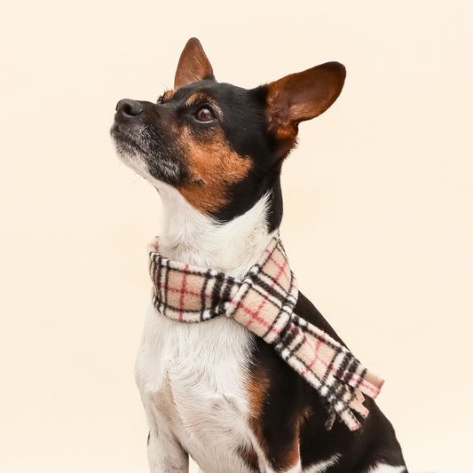 Beige Highland Tartan Fleece Pet Scarf