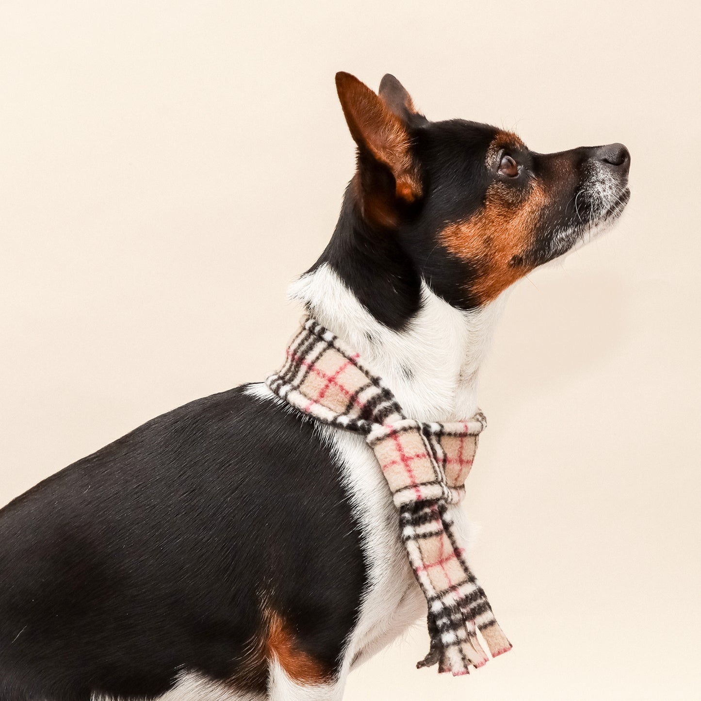 Beige Highland Tartan Fleece Pet Scarf