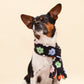 Flower Power Fleece Pet Scarf