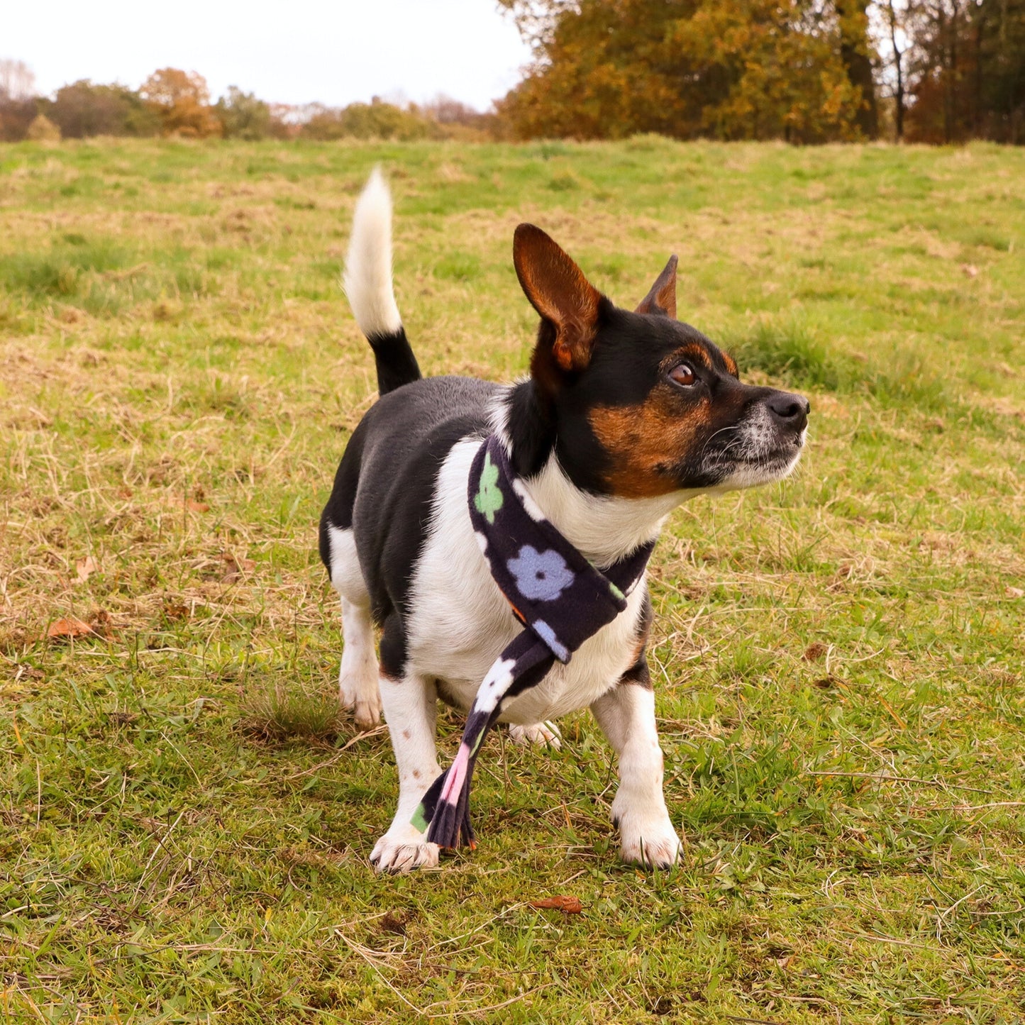 Flower Power Fleece Pet Scarf