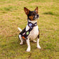 Flower Power Fleece Pet Scarf