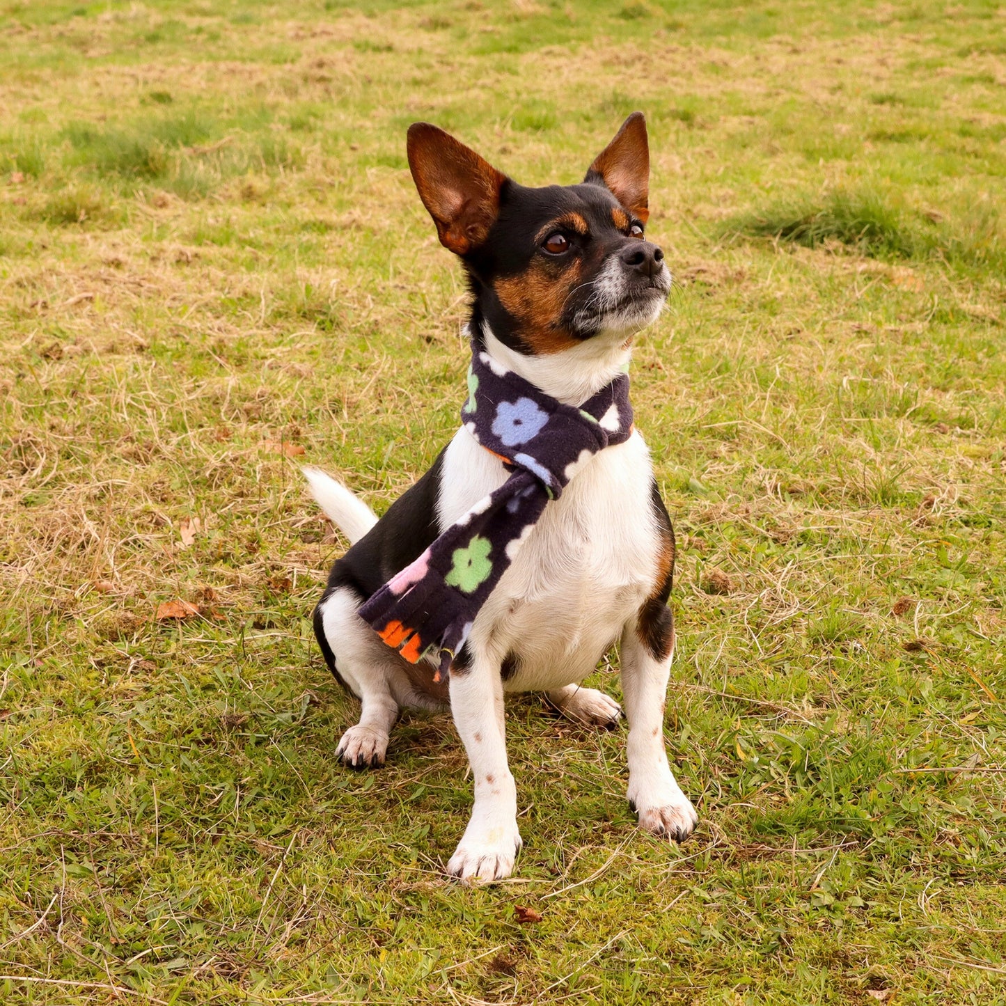 Flower Power Fleece Pet Scarf
