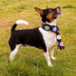 Flower Power Fleece Pet Scarf